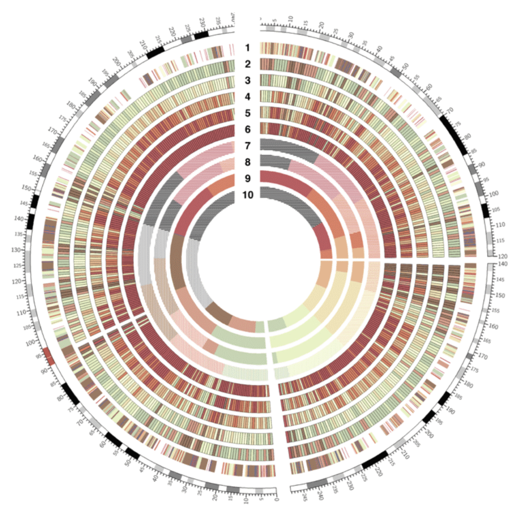 Genomes (1)