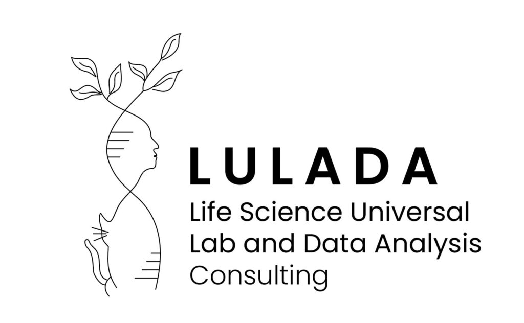 LuladaConsultingLogo